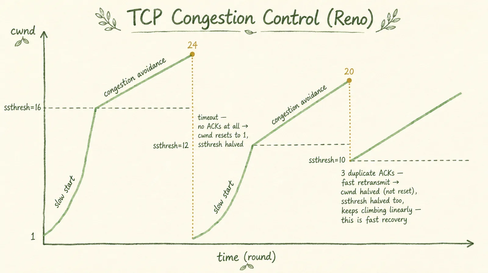 TCP 拥塞控制：慢启动、拥塞避免、超时重传、快恢复
